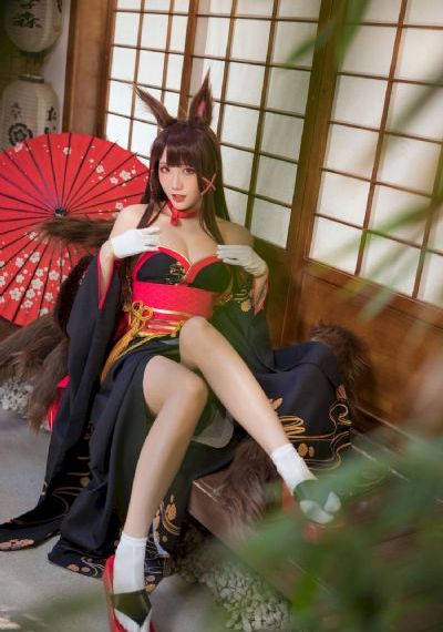 雪豹电视剧